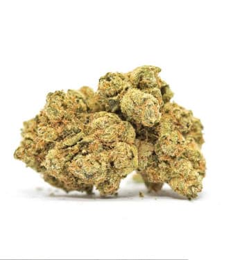 Psychedelic > Bulk Seed Bank | Feminized Marijuana   |  Indica