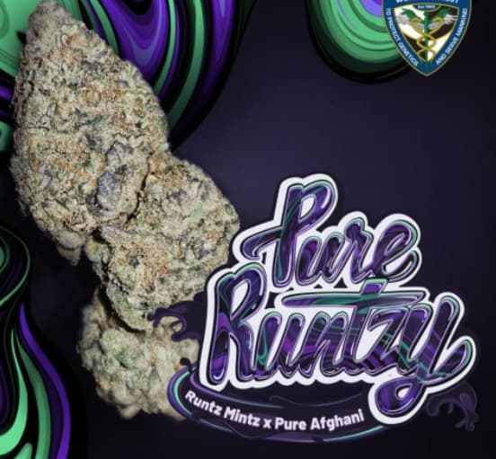 Pure Runtzy Seed > TH Seeds | Feminized Cannabis   |  Hybrid
