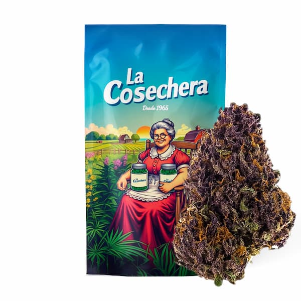Purple Haze CBD > La Cosechera | CBD Blüten