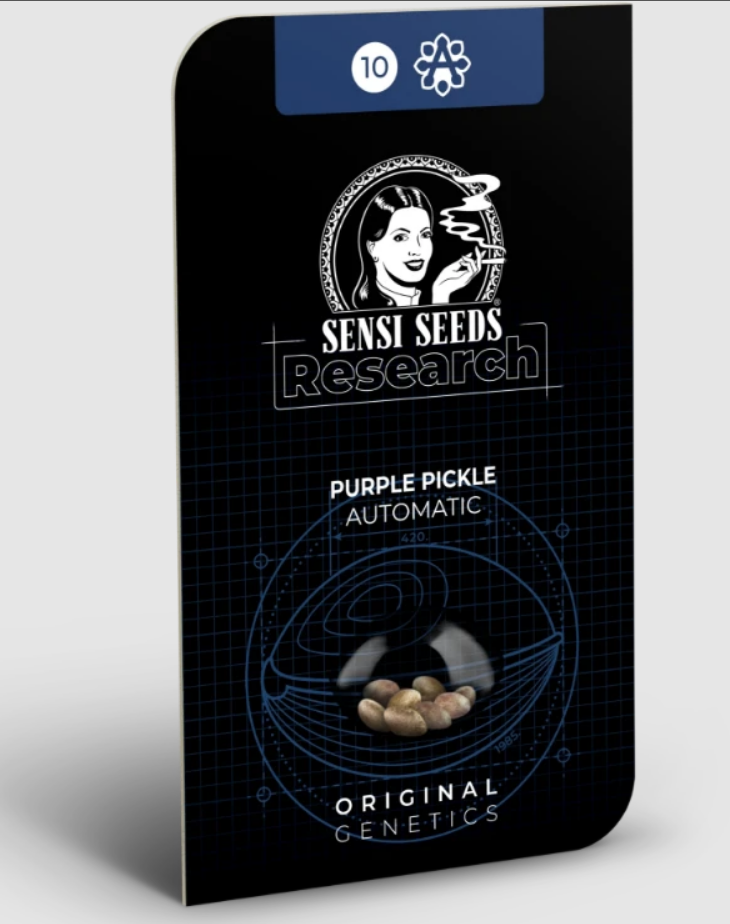 Purple Pickle Auto > Sensi Seeds | Autoflowering Cannabis   |  Hybrid