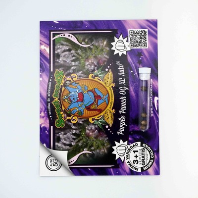 Purple Punch OG semilla > Sweet Seeds | Semillas feminizadas  |  Índica