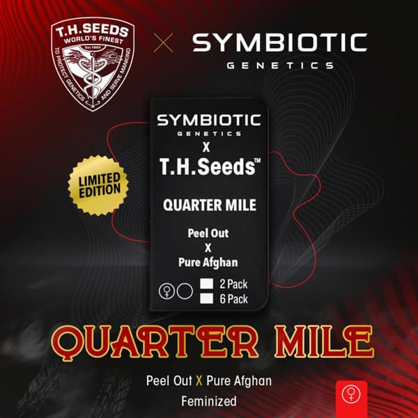 Quarter Mile Seed > T.H. Seeds | Feminized Cannabis   |  Hybrid