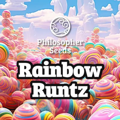 Rainbow Runtz graines > Philosopher Seeds | Graines Féminisées  |  Hybride