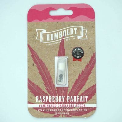 Raspberry Parfait Samen > Humboldt Seed Company | Feminisierte Hanfsamen  |  Sativa
