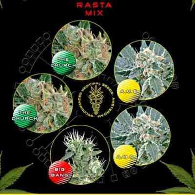 Rasta Mix > Green House Seed Company | Graines Féminisées  |  Hybride