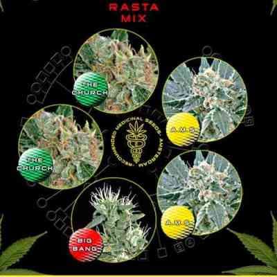 Rasta Mix > Green House Seed Company | Semillas feminizadas  |  Híbrido