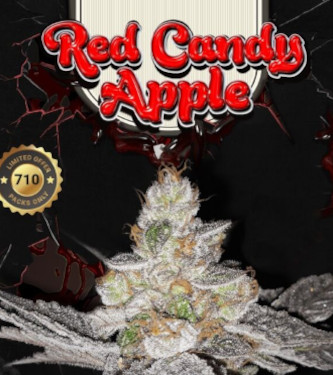Red Candy Apple > TH Seeds | Graines Féminisées  |  Sativa