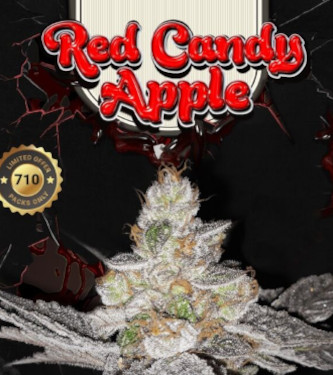 Red Candy Apple > TH Seeds | Feminized Marijuana   |  Sativa