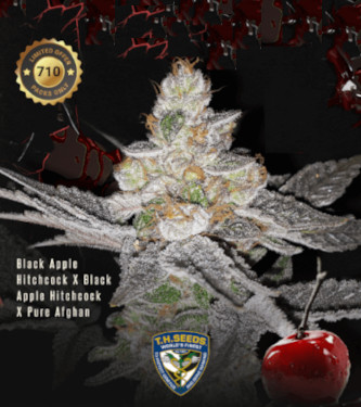 Red Candy Apple > TH Seeds | Semillas feminizadas  |  Sativa