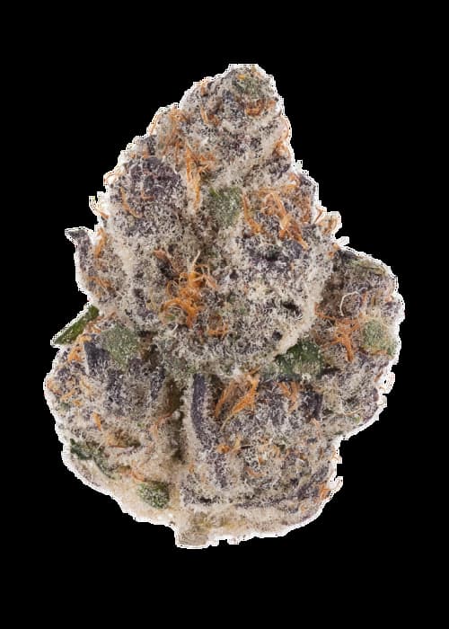 Red Line graines > Anesia Seeds | Graines Féminisées  |  Indica
