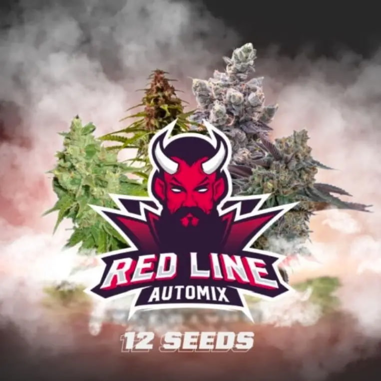 Red Line Automix > BSF Seeds | Semillas de marihuana autoflorecientes  |  Índica