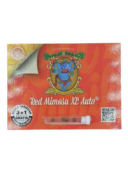 Red Mimosa XL Auto > Sweet Seeds | Graines Autofloraison  |  Indica
