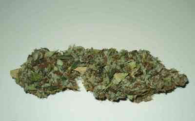 Ripper Badazz > Ripper Seeds | Feminized Cannabis   |  Indica