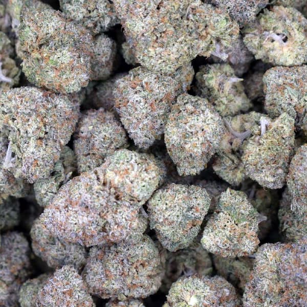 Rose Soda Auto Samen > Anesia Seeds | Autoflowering Hanfsamen  |  Indica