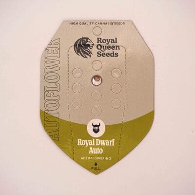 Royal Dwarf > Royal Queen Seeds | Autoflowering Cannabis   |  Sativa