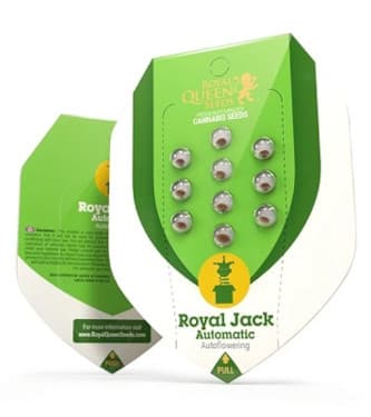 Royal Jack Automatic > Royal Queen Seeds | Semillas de marihuana autoflorecientes  |  Sativa
