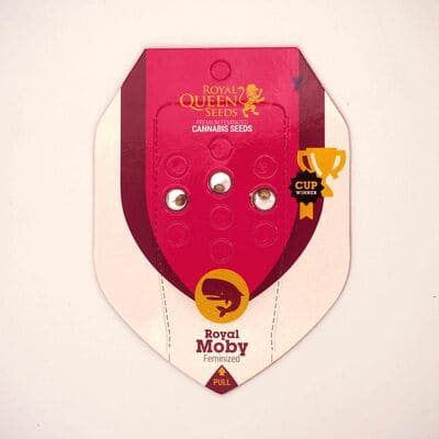 Royal Moby > Royal Queen Seeds | Feminized Cannabis   |  Sativa