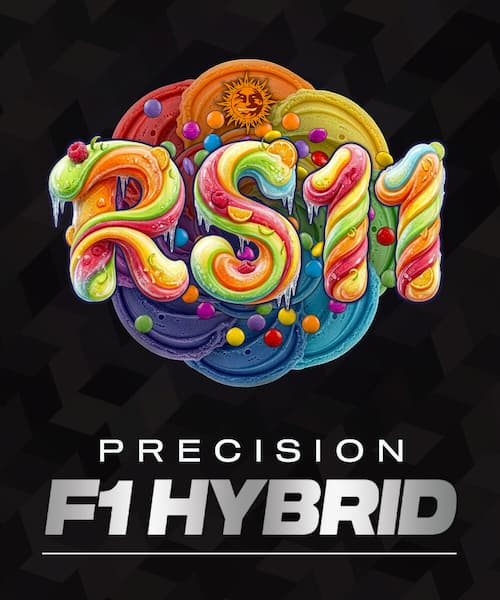 RS11 Samen > Barneys Farm | Feminisierte Hanfsamen  |  Indica