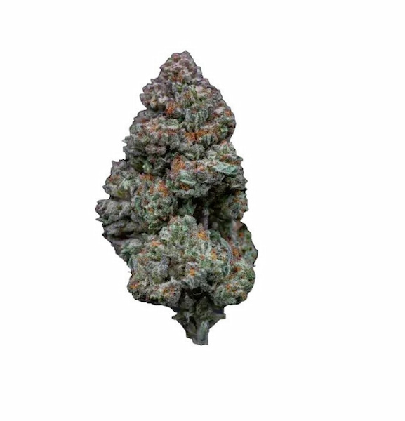 RS11 Seed > Growers Choice | Feminized Cannabis   |  Indica
