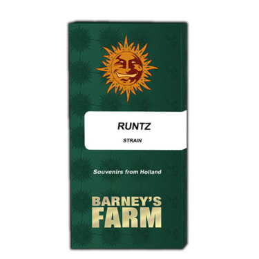 Runtz > Barneys Farm | Feminisierte Hanfsamen  |  Hybrid