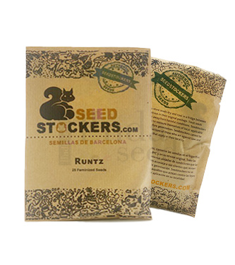 Runtz > Seed Stockers | Feminisierte Hanfsamen  |  Indica