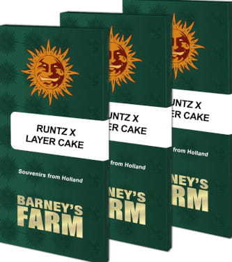 Runtz x Layer Cake > Barneys Farm | Feminized Marijuana   |  hybrid