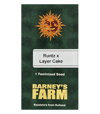 Runtz x Layer Cake > Barneys Farm | Feminisierte Hanfsamen  |  Hybrid