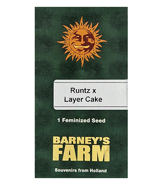 Runtz x Layer Cake > Barneys Farm | Feminized Marijuana   |  hybrid