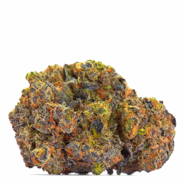 San Fernando Valley x The Purps Seed > Growers Choice | Feminized Cannabis   |  Indica