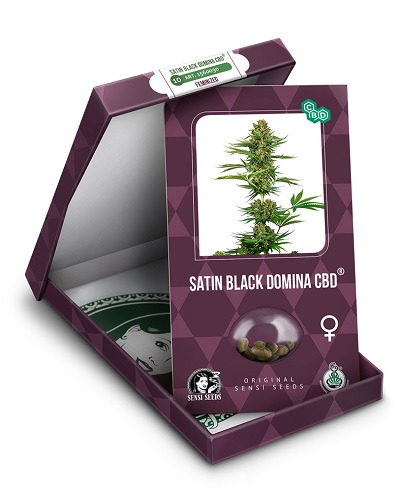 Satin Black Domina CBD > Sensi Seeds | Medizinische Hanfsamen (CBD)  |  Hybrid