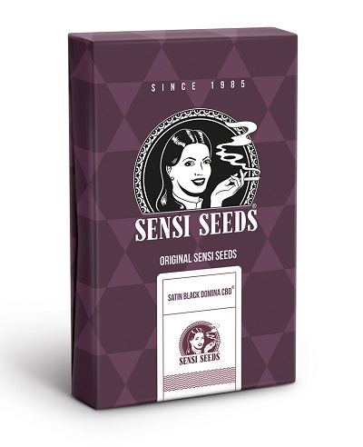 Satin Black Domina CBD > Sensi Seeds | Medical cannabis seeds (CBD)  |  Hybrid