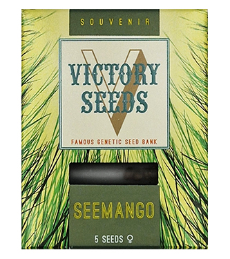 Seemango > Victory Seeds | Feminisierte Hanfsamen  |  Indica