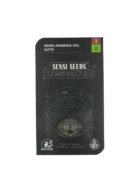 Sensi Amnesia XXL Auto > Sensi Seeds | Autoflowering Cannabis   |  Sativa