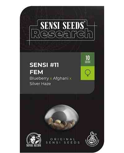 Sensi #11 > Sensi Seeds | Feminized Marijuana   |  hybrid