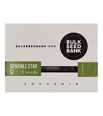 Sensible Star > Bulk Seed Bank | Feminized Marijuana   |  Indica