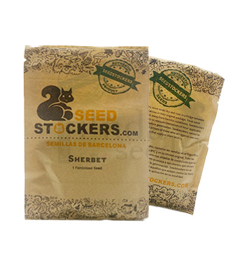 Sherbet > Seed Stockers | Semillas feminizadas  |  Indica