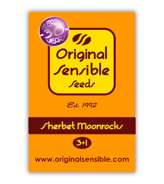Sherbet Moonrocks > Original Sensible Seeds | Feminisierte Hanfsamen  |  Indica