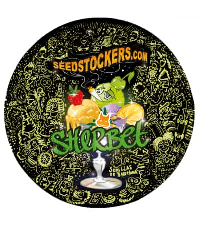 Sherbet > Seed Stockers | Semillas feminizadas  |  Índica