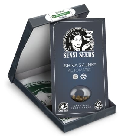 Shiva Skunk Automatic > Sensi Seeds | Autoflowering Hanfsamen  |  Indica