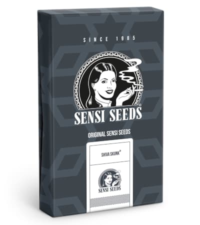 Shiva Skunk Automatic > Sensi Seeds | Semillas autoflorecientes  |  Índica