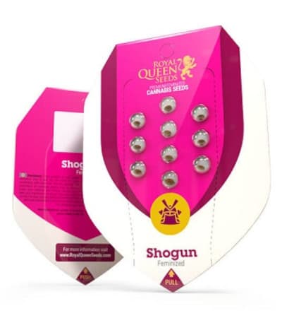 Shogun > Royal Queen Seeds | Semillas feminizadas  |  Sativa