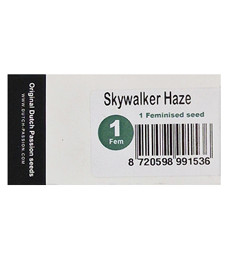 Skywalker Haze > Dutch Passion | Feminized Marijuana   |  Sativa