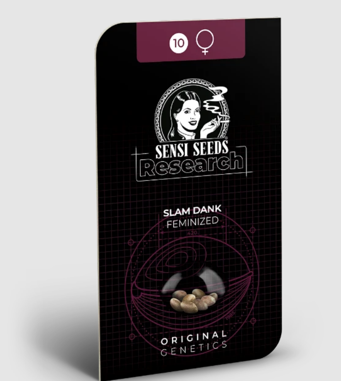 Slam Dank > Sensi Seeds | Feminized Cannabis   |  Hybrid