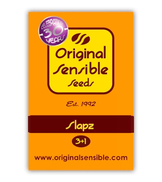 Slapz > Original Sensible Seeds | Feminisierte Hanfsamen  |  Indica