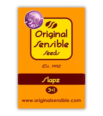 Slapz > Original Sensible Seeds | Feminized Cannabis   |  Indica