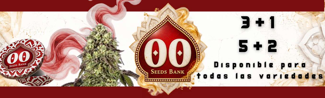 00 SEEDS PROMOCIÓN DE SEMILLAS GRATIS 00 SEEDS PROMOCIÓN DE SEMILLAS GRATIS