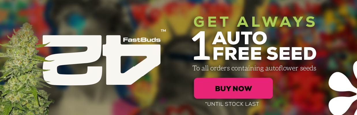 FAST BUDS SEEDS PROMOCIÓN DE SEMILLAS GRATIS