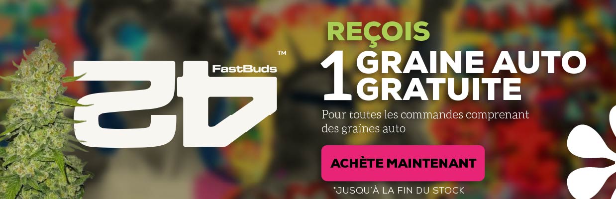 FAST BUDS SEEDS PROMOTION DE GRAINES GRATUITES