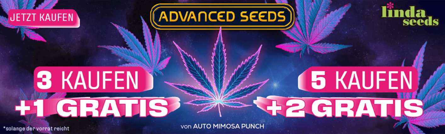ADVANCED  SEEDS GRATIS SAMEN AKTION