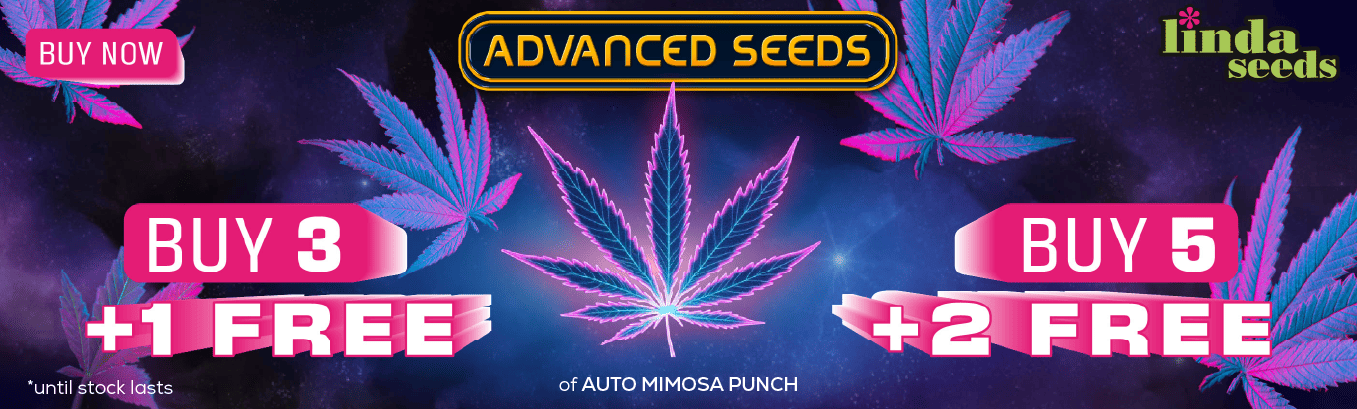 ADVANCED SEEDS FREE SEEDS PROMOTION